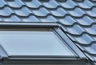 Forest Ridgeskylights-4.jpg; ?>